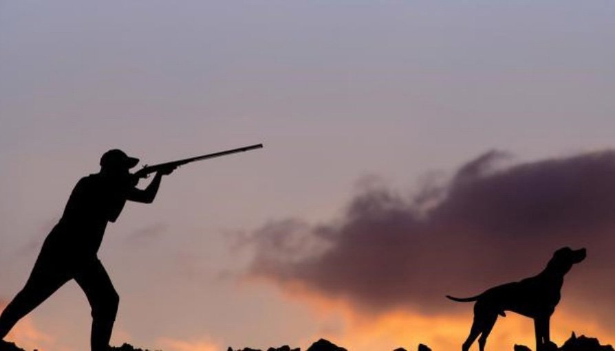 Σε ποιες περιοχές των Χανίων απαγορεύεται το κυνήγι για 10 χρόνια