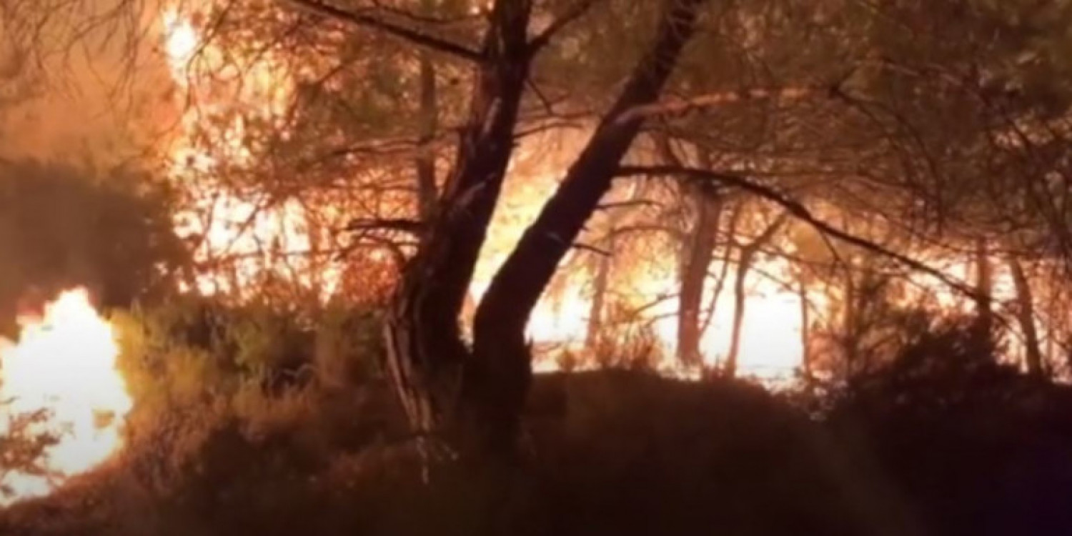 Εβρος: Ολονύχτια μάχη να μην φτάσει η φωτιά στην «καρδιά» του δάσους της Δαδιάς