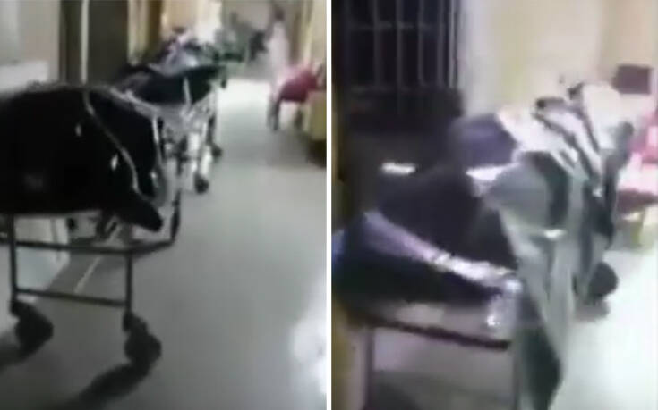 Ανατριχιαστικές εικόνες από Ρωσία: Δεκάδες πτώματα στοιβαγμένα σε διαδρόμους νεκροτομείου