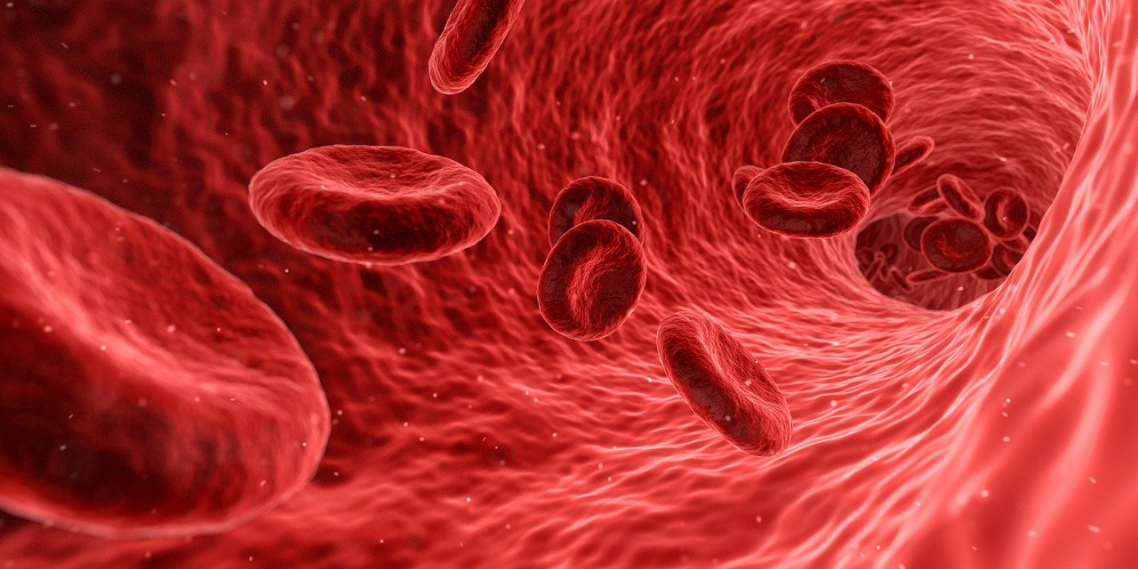 COVID-19: Πόσο κινδυνεύει η κάθε ομάδα αίματος