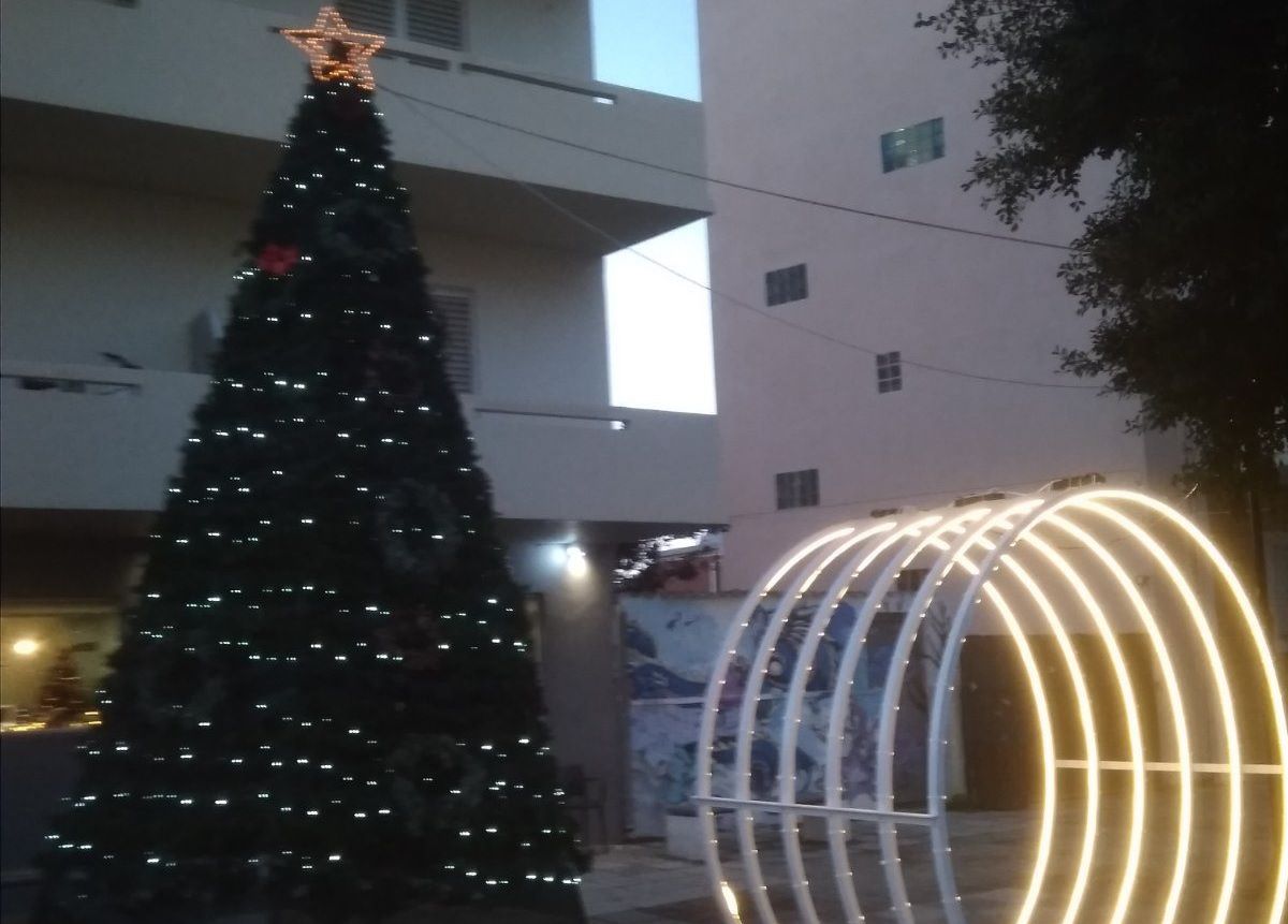 Το Κύτταρο Χαλέπας στόλισε και φέτος το χριστουγεννιάτικο δέντρο του (φωτο)