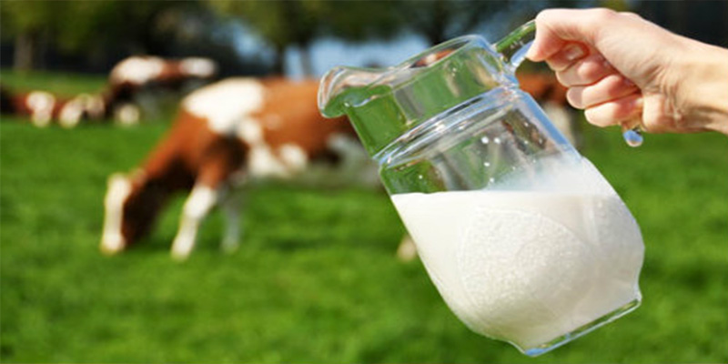 Μεγαλώνει η ζήτηση για αγελαδινό γάλα, αποδίδει στις μονάδες η τεχνολογία