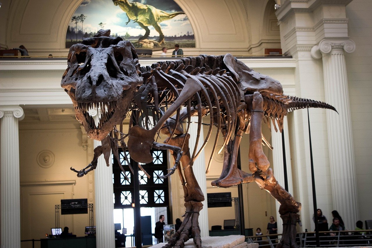 Περίπου 2,5 δισ. τυραννόσαυροι ήταν στη Γη την εποχή των δεινοσαύρων