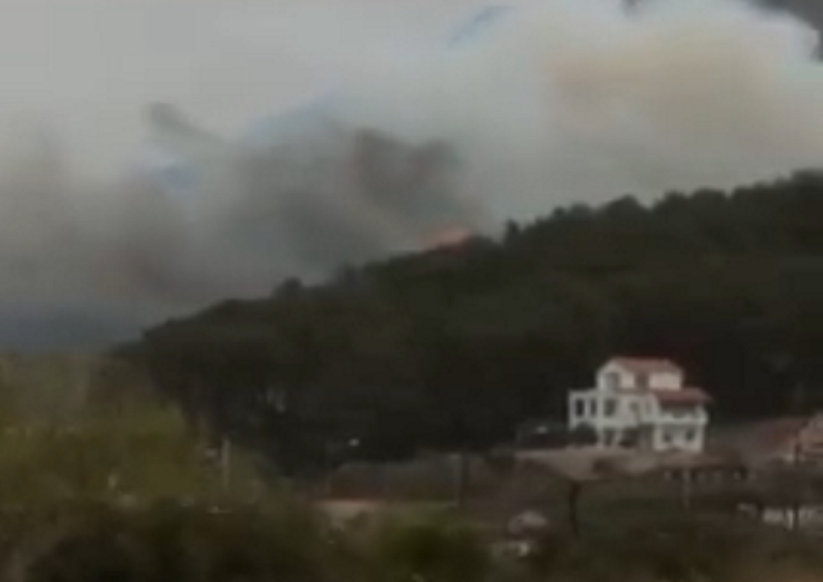 Μεγάλη φωτιά στη Σάμο σε περιοχή με σπίτια – Κάηκε το πρώτο