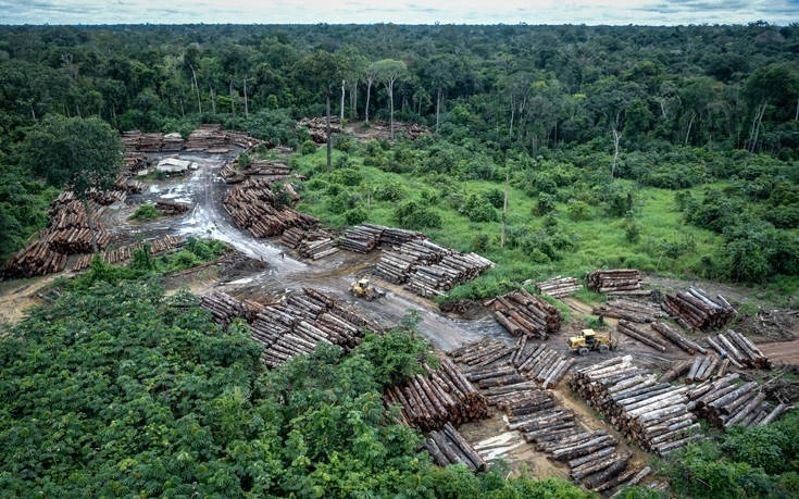 Αμαζονία της Βραζιλίας: Τα τελευταία 10 χρόνια εκπέμπει περισσότερο διοξείδιο του άνθρακα