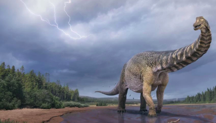Αυστραλοτιτάν: Δεινόσαυρος ανακαλύφθηκε στην Αυστραλία είχε μήκος όσο ένα γήπεδο μπάσκετ