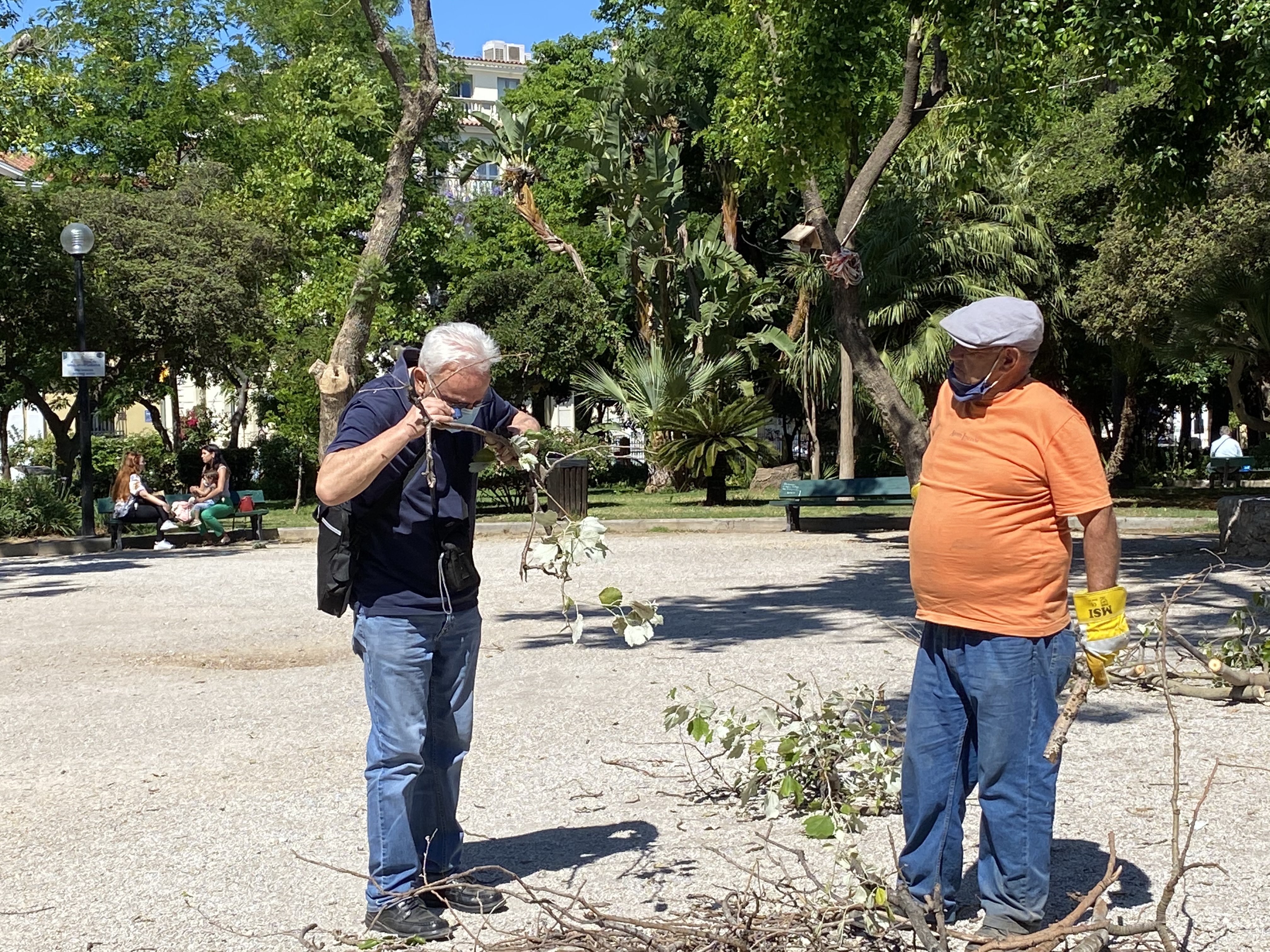 Στον δημοτικό κήπο Χανίων γνωστός δασολόγος – Τι προτάσεις έκανε για τα δέντρα (φωτο)