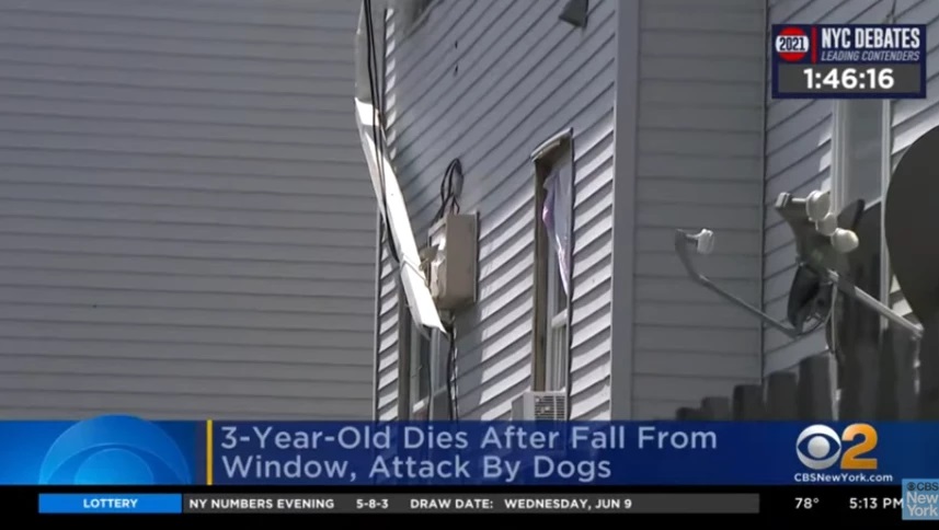 Τρίχρονος έπεσε από παράθυρο και τον κατασπάραξαν σκυλιά