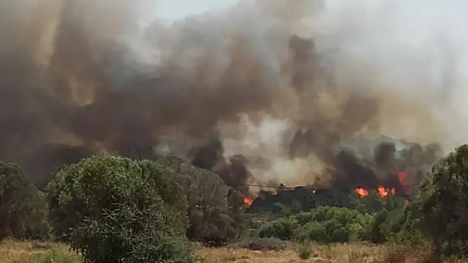 Ρόδος: Μεγάλη φωτιά σε δασική έκταση σε Παντάνασσα – Εκκενώνεται η Κοιλάδα των Πεταλούδων