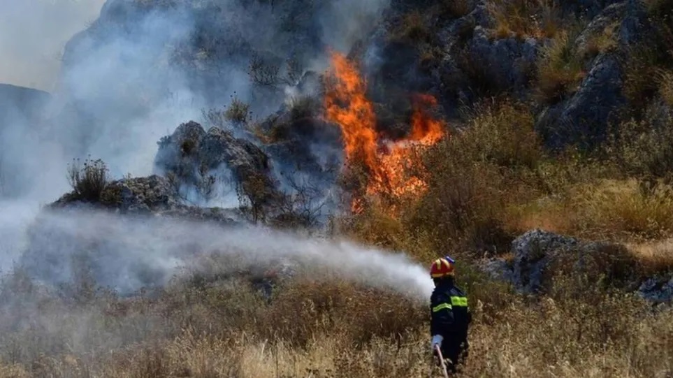 Εύβοια: Φωτιά στη Δάφνη Μαντουδίου – Εκκενώνονται τρία χωριά