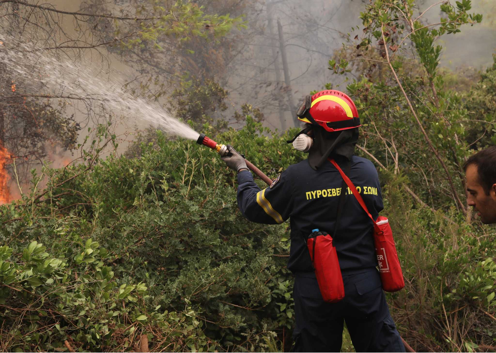 Μεγάλη κινητοποίηση στην Πυροσβεστική για φωτιά σε περιοχή της Ιεράπετρας