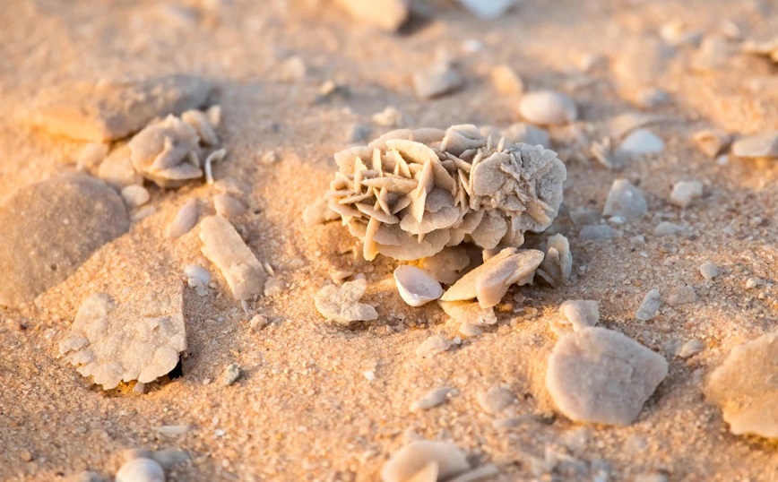 Τριαντάφυλλα της ερήμου: Το απίστευτο φυσικό φαινόμενο που συναρπάζει