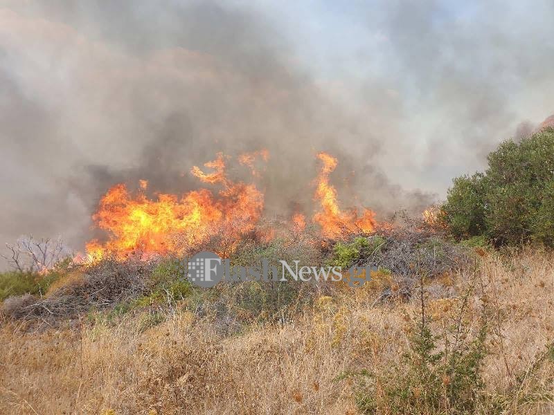 Πυρκαγιά στα Πλακάλωνα στον Δήμο Πλατανιά (φωτο)