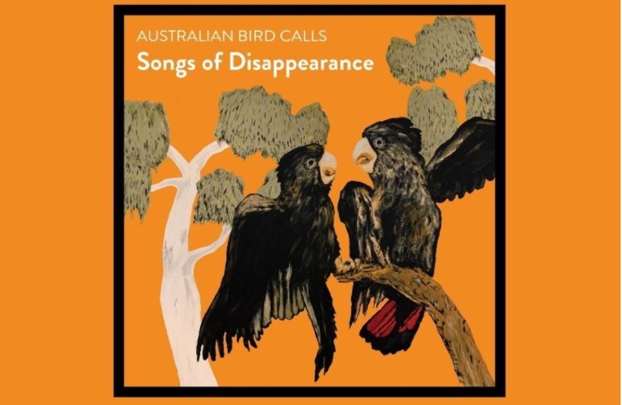 Αυστραλία: Το κελάηδημα απειλούμενων πουλιών βρέθηκε στην κορυφή των charts
