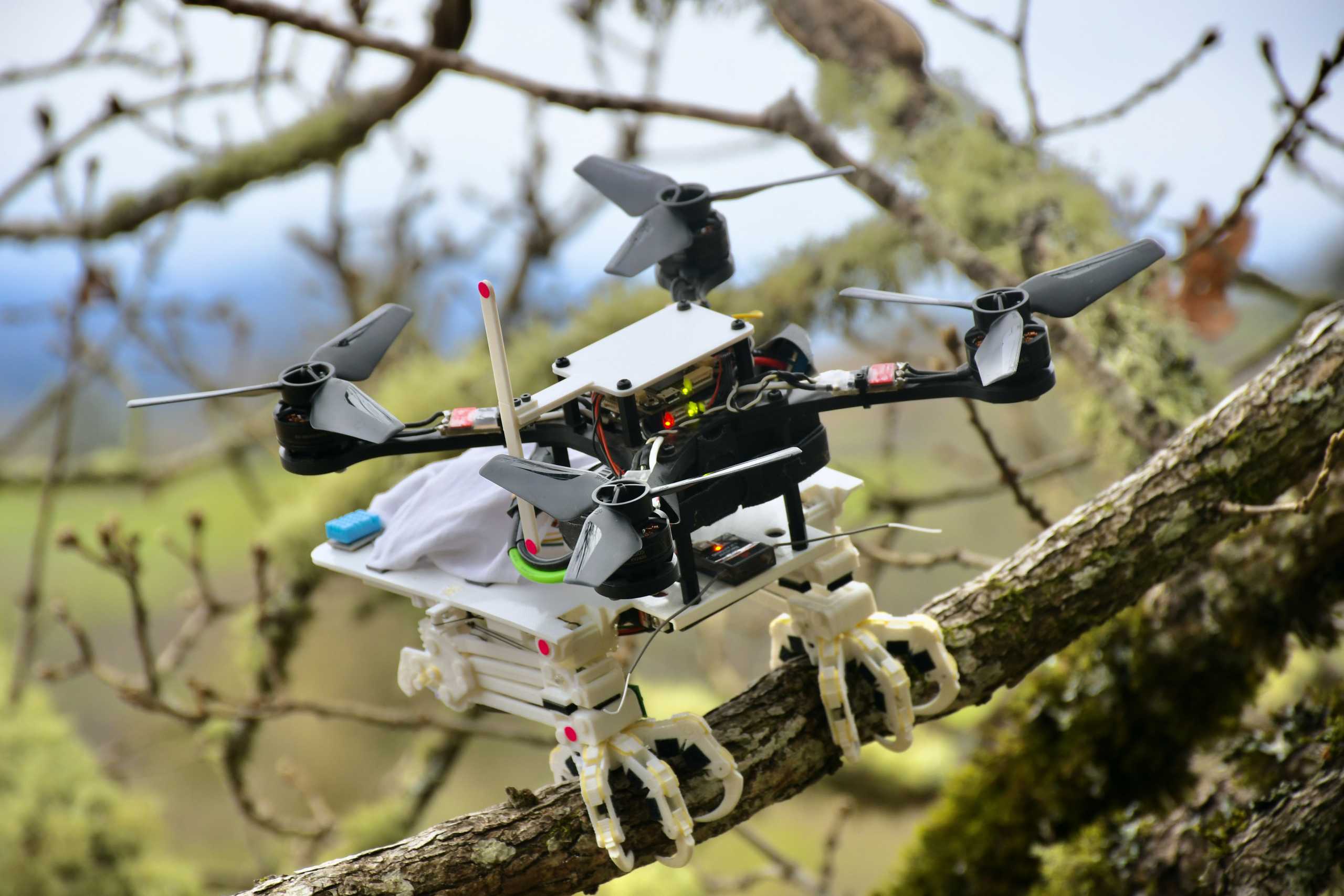 Φτιάχτηκε το πρώτο ρομπότ που… κουρνιάζει στα δέντρα και φέρνει αλλαγές στα drones