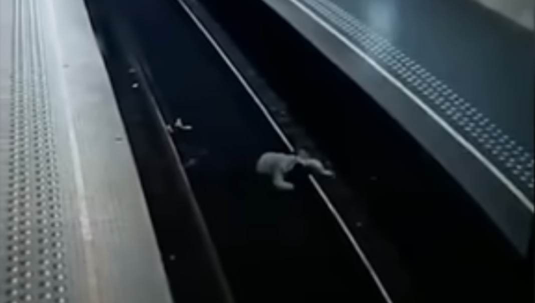 Σοκαριστικό βίντεο: Άνδρας έριξε γυναίκα στις ράγες του μετρό στις Βρυξέλλες