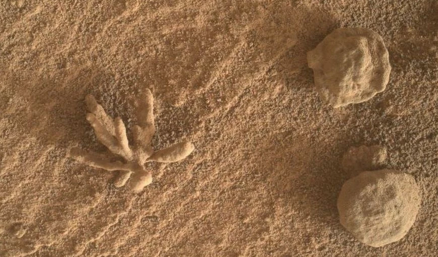 NASA: Το ρόβερ Curiosity ήρθε πρόσωπο με πρόσωπο με ένα αρειανό «λουλούδι»