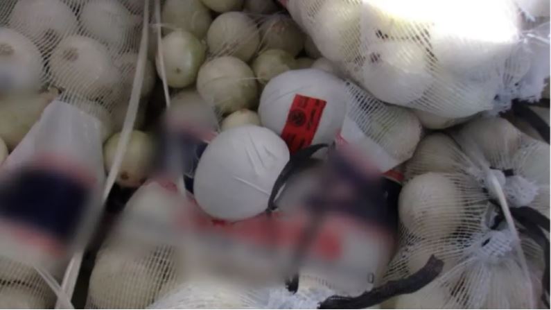 Μεξικανοί διακινητές μεταμφίεσαν 600 κιλά ναρκωτικών σε… λευκά κρεμμύδια!