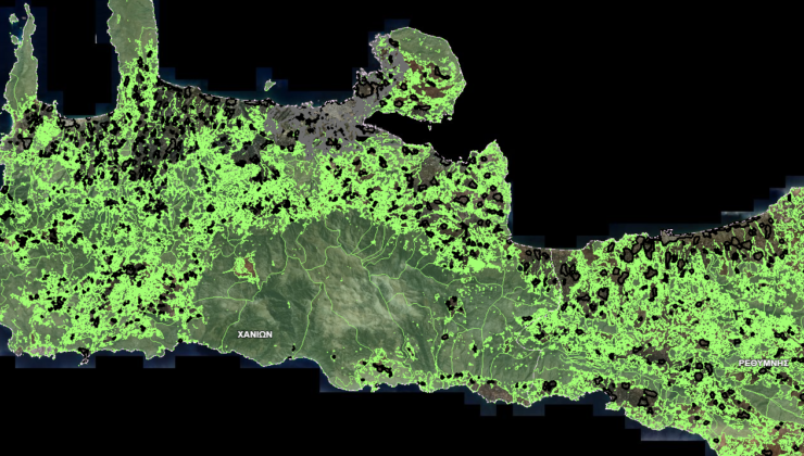 Δασικοί χάρτες: Η αντιπεριφέρεια Χανίων ζητά (εκ νέου) τρίμηνη παράταση στην προθεσμία υποβολής αντιρρήσεων