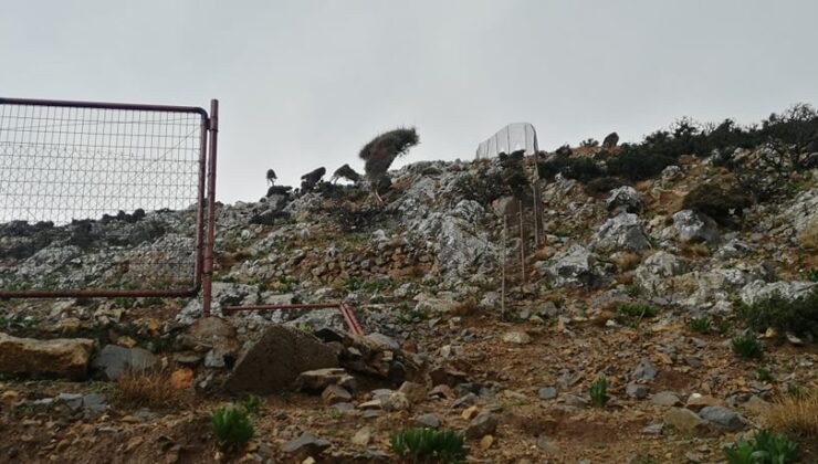 Χανιά: Σημάδια εγκατάλειψης στην αρχαία Δίκτυννα – “Καταστροφικός” δρόμος από Ροδωπού μέχρι Μένιες (φωτο)