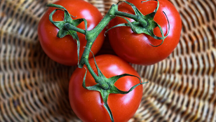 Δημιουργήθηκαν οι πρώτες σούπερ-ντομάτες που θα αναπληρώνουν την έλλειψη βιταμίνης D
