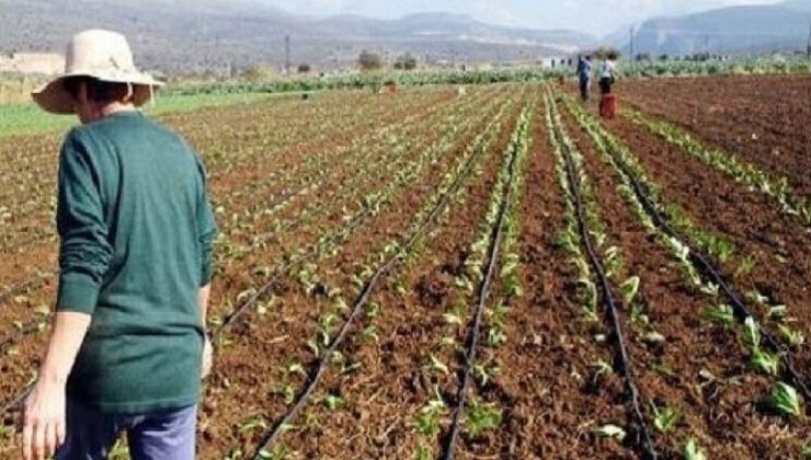 Ξέμεινε από εργατικά χέρια η καλλιέργεια της γης στην Ελλάδα