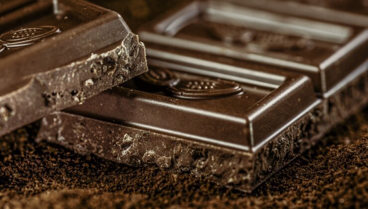 Βέλγιο: Σαλμονέλα εντοπίσθηκε στο βασικό εργοστάσιο παγκόσμιου κολοσσού της σοκολάτας