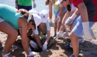 Ξεκίνησε ο καθαρισμός θαλασσών και ακτών από πλαστικά σε Σκιάθο, Κεφαλονιά, Κέρκυρα και Αγ. Νικόλαο Κρήτης με την υποστήριξη της COSMOTE