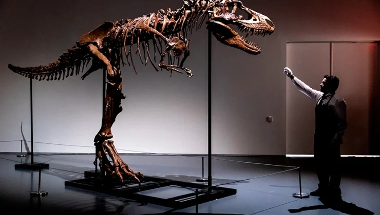Δημοπρασία έκπληξη για ένα απολίθωμα δεινοσαύρου 76 εκατομμυρίων ετών
