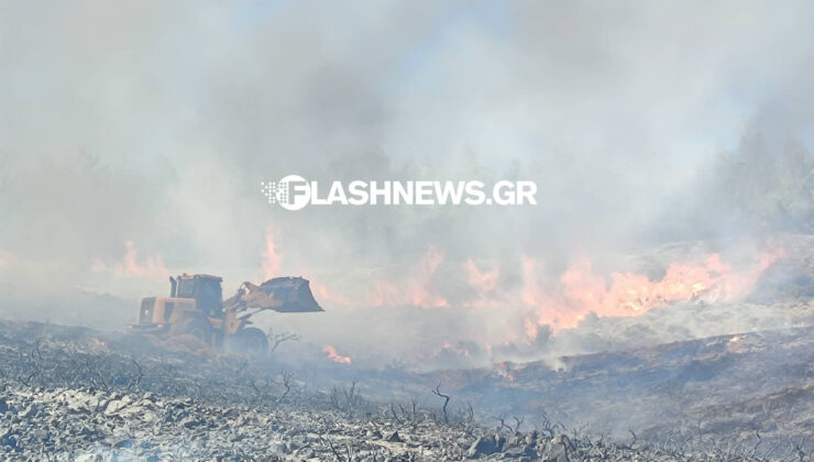 Ηράκλειο: Κι άλλη πυρκαγιά στο δάσος της Κέρης! (φωτο)
