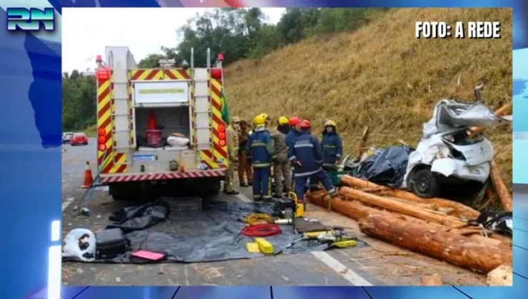 Βραζιλία: Κορμοί δέντρων που έπεσαν από νταλίκα συνέθλιψαν αυτοκίνητο – Τέσσερις νεκροί