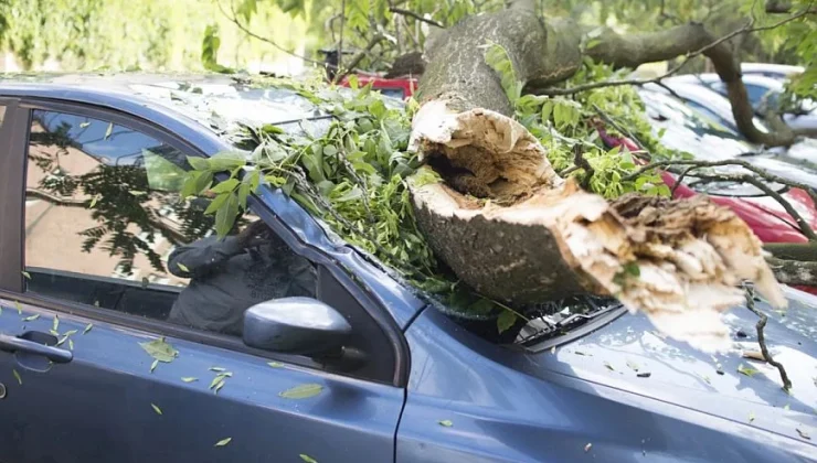 Αρναούτογλου: Μην παρκάρετε αυτοκίνητα κάτω από δέντρα, έρχονται πολύ ισχυροί άνεμοι