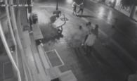 Βάνδαλοι «ξέσπασαν» σε δεντράκια στην οδό Χάληδων στα Χανιά (βίντεο)