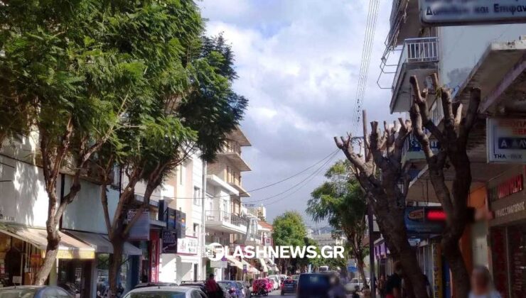 Το «περίεργο» κλάδεμα δέντρων στην οδό Κυδωνίας, ο δήμος Χανίων και ο ΔΕΔΔΗΕ