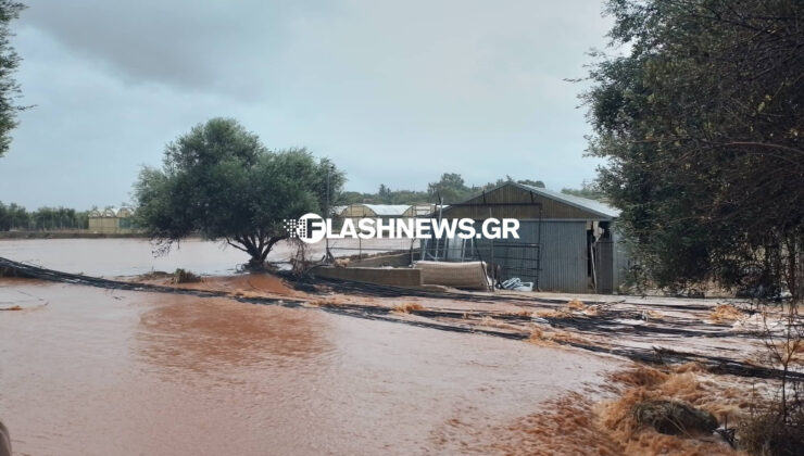 Xανιά: “Πνίγηκε” ο Σταυρός Ακρωτηρίου – Εγκλωβισμένοι άνθρωποι στα σπίτι από το “ποτάμι” που προκλήθηκε από τη βροχή (φωτο -βιντεο)