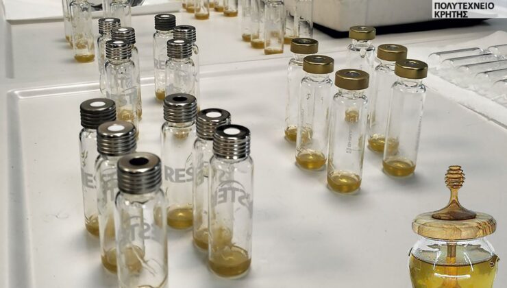 Από που προέρχεται το κρητικό θυμαρίσιο μέλι – Νέο ερευνητικό πρόγραμμα από τη σχολή ΧΗΜΗΠΕΡ του Πολυτεχνείου Κρήτης