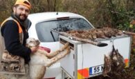 Κυνηγός έχασε τη ζωή του όταν… πυροβολήθηκε από τον σκύλο του