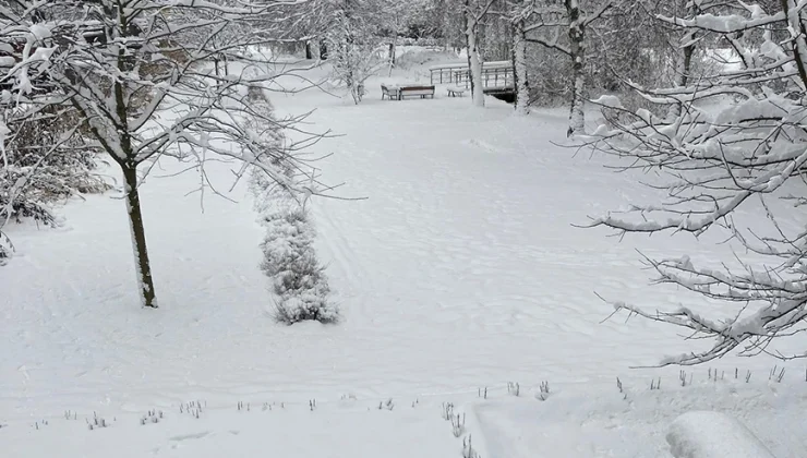 Σουηδία: Από τους 16,7 βαθμούς στο ψύχος – Τα πάντα καλύφθηκαν από το χιόνι