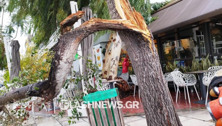 Επικίνδυνα καιρικά φαινόμενα στην Κρήτη – Έπεσαν δέντρα στα Χανιά! (φωτο)