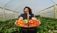 Nέοι Αγρότες: Αλλαγές στην κατανομή των κονδυλίων, τι ποσό δίδεται στην Κρήτη και στις υπόλοιπες Περιφέρειες