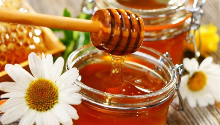 Μέλι: Γλυκόπικρη γεύση άφησε η φετινή συγκομιδή – Κατά 60% μειωμένο το πευκόμελο στην Κρήτη