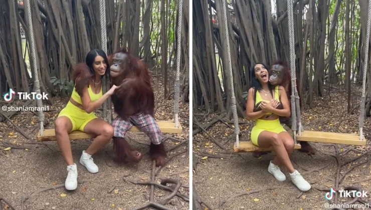 Ταϊλάνδη: Πίθηκος φίλησε τουρίστρια και έπιασε το στήθος της