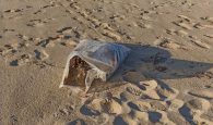 Τι συμβαίνει στο Ρέθυμνο; Βρήκαν πάνω από 15 κιλά χασίς σε παραλία! (φωτο)