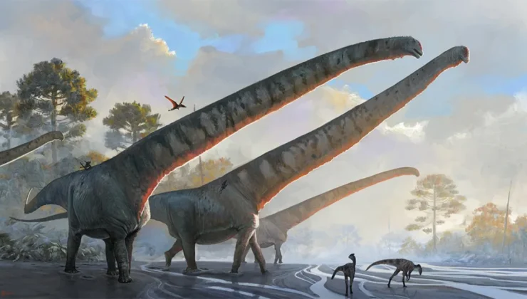 Κίνα: Ανακάλυψαν δεινόσαυρο με βάρος 70 τόνους και λαιμό που έφτανε τα 15 μέτρα