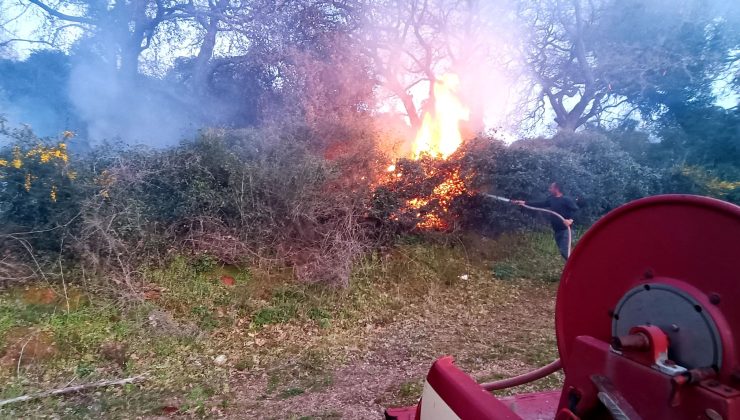 Πυρκαγιά σε χωράφι με πυκνή βλάστηση στον Πλατανιά (φωτο)