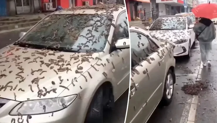Έβρεξε σκουλίκια στην Κίνα;;; Το περίεργο βίντεο που έγινε viral