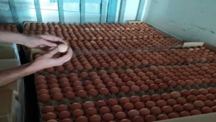 Το ΣΔΟΕ κατάσχεσε 300.000 αυγά από τη Βουλγαρία με προορισμό και το Ρέθυμνο – Θα τα «βάφτιζαν» ελληνικά λόγω Πάσχα