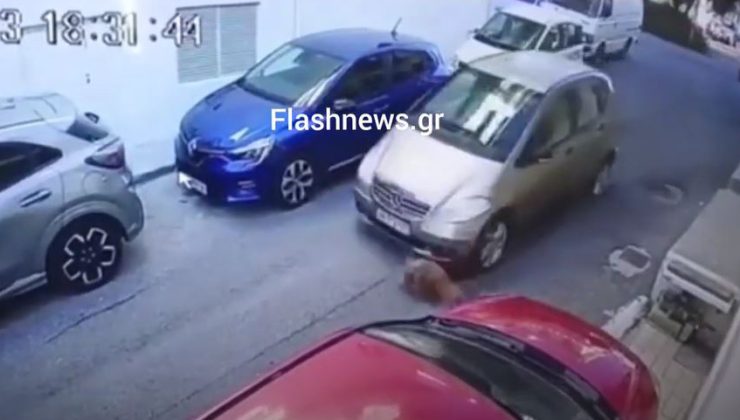 Σοκαριστικό βίντεο στο Ηράκλειο: Αυτοκίνητο πατάει εν ψυχρώ σκύλο