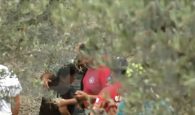Ηράκλειο: Βρέθηκε η 48χρονη που είχε εξαφανιστεί από το Βαθύπετρο- Καρέ καρέ η στιγμή του εντοπισμού (φωτο, βιντεο)