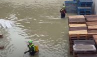 Σκηνικά αποκάλυψης στην Ιταλία: Πέντε οι νεκροί και πέντε χιλιάδες οι ξεριζωμένοι από τις πλημμύρες (βίντεο)